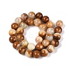 Natural Wood Lace Stone Wooden Jasper Beads Strands G-B128-A04-05-3