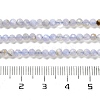 Natural Blue Lace Agate Beads Strands G-Z074-A01-01-5