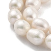 Natural Cultured Freshwater Pearl Beads Strands PEAR-P062-13E-4