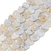 Natural Blue Lace Agate Beads Strands G-NH0001-B02-01-2