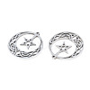 Non-Tarnish 201 Stainless Steel Pendants STAS-N098-044P-3