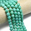 Natural Malaysia Jade Beads Strands G-L645-A01-10mm-19-4