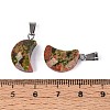 Natural Unakite Pendants G-N349-02D-P-3