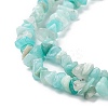 Natural Exotic Amazonite Chips Beads Strands F070-1-3