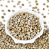 Picasso Glass Seed Beads SEED-N010-01A-2