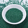 MIYUKI Delica Beads SEED-JP0008-DB0656-2