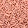 MIYUKI Round Rocailles Beads SEED-G007-RR4461-2