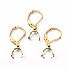 304 Stainless Steel Leverback Earring Findings FIND-WH0110-052G-1
