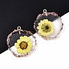 Transparent Clear Epoxy Resin & Dried Flower Pendants X-RESI-S383-074-3
