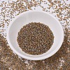 MIYUKI Delica Beads X-SEED-J020-DB0981-2
