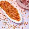 200G Electroplate Glass Seed Beads GLAA-SZ0002-17A-3