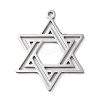Non-Tarnish 304 Stainless Steel Pendants STAS-R116-01P-1