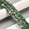 Synthetic Regalite/Imperial Jasper/Sea Sediment Jasper Beads Strands G-F765-D05-01-2