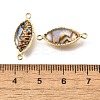 Brass Pave Natural Paua Shell Connector Charms LS-KK-E794-01G-09-3
