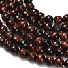 Natural Tiger Eye Beads Strands G-F591-18-8mm-07-5