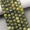 Natural Gemstone Beads GSR6mmC032-10