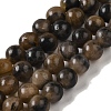 Natural Chiastolite Beads Strands G-Q161-A03-02-1