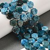 Natural Apatite Beads Strands G-P534-A02-01-2