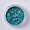 Nail Art Glitter Sequins AJEW-TA0010-B02-2