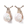 Snail White Natural Conch Shell Fossil Brooch Pin JEWB-A020-02G-01-1