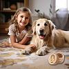 1Pc Beech Wood Engraved Pet Hair Keepsake Boxes CON-CN0001-16D-4