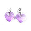 Faceted Transparent Glass Charms GLAA-T024-04B-2