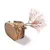 Resin & Natural Rose Quartz Model Ornament DJEW-Z001-01E-5