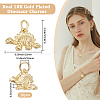 10Pcs Rack Plating Brass Pendants KK-BBC0017-13-2