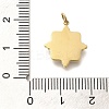 Ion Plating(IP) 304 Stainless Steel Pave Shell Pendants STAS-K263-69G-3