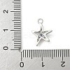 Brass Micro Pave Cubic Zirconia Charms LS-KK-M326-20B-P-3