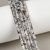 Natural Seame Jasper Beads Strands G-P600-B11-01-1