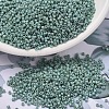 MIYUKI Delica Beads X-SEED-J020-DB2313-1