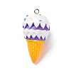 Resin Imitation Food Pendants RESI-H144-02D-1