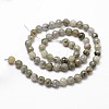 Natural Labradorite Beads Strands G-G736-04-6mm-2