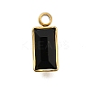 304 Stainless Steel Rhinestone Pendants STAS-Z125-11G-2