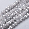 Glass Beads Strands EGLA-F148-A14-1