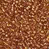 TOHO 8/0 Round Beads SEED-XTR08-1853-2