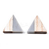 Opaque Resin & Wood Cabochons LS-CRES-N028-001A-B02-2
