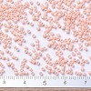MIYUKI Delica Beads SEED-JP0008-DB0206-4