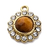 Natural Tiger Eye Faceted Charms STAS-S163-38G-02-1