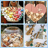 Shell Pendants SSHEL-TA0001-03-8