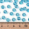 Transparent Glass Seed Beads SEED-N007-33B-09-4