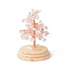 Natural Rose Quartz Chips Money Tree in Dome Glass Bell Jars with Wood Base Display Decorations DJEW-B007-04B-2
