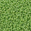 MIYUKI Round Rocailles Beads SEED-G007-RR0479-3