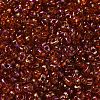 Spray Painted Glass Seed Beads SEED-F005-05A-05-3