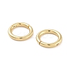 Rack Plating Brass Twister Clasp KK-G512-09A-G-2