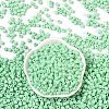 Opaque Acrylic Beads OACR-B025-06J-2