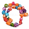 Natural Trochid Shell/Trochus Shell Beads Strands SHEL-B005-06-2