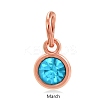 Rose Gold Plated Alloy Glass Rhinestone Charms PALLOY-TAC0016-A03-RG-1