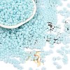 Baking Paint Glass Seed Beads SEED-L011-09A-08-1